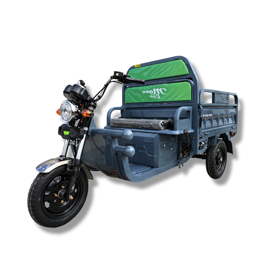 Elektrisches Dreirad MoveEco Cargo 500 | 1000 W | 60V-45 Ah | führerscheinfrei | 25 km/h | Grau